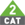 CAT 2